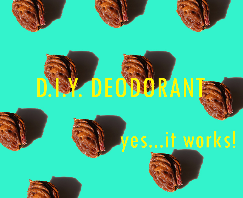 shea coconut oil deodorant DIY