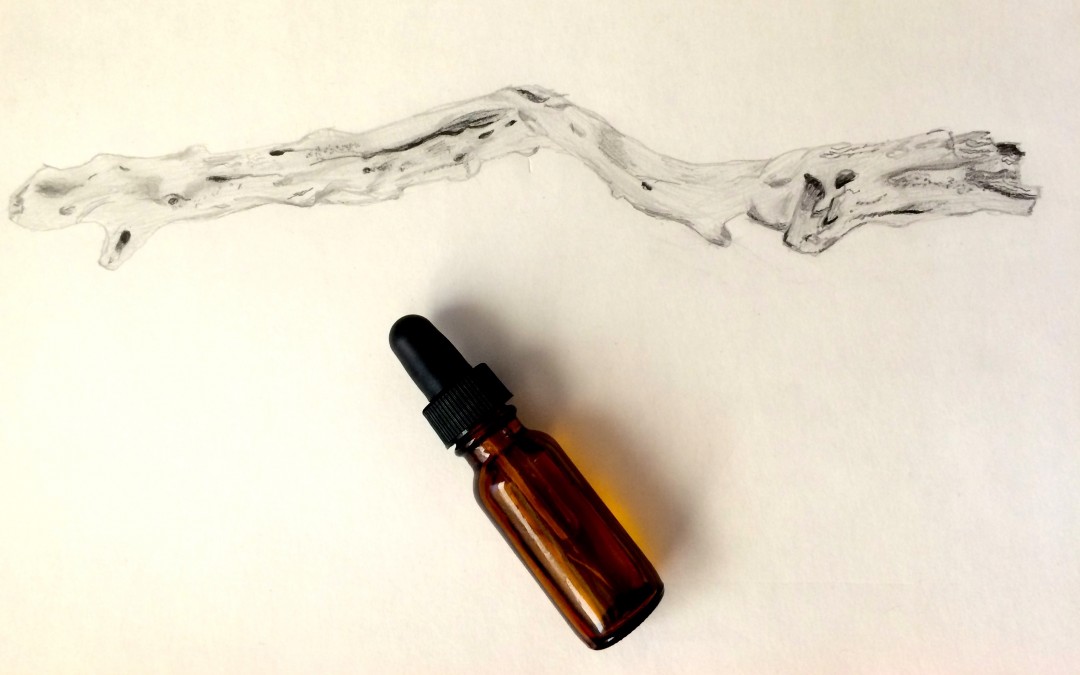 Simple DIY Oil Cleanser and Makeup Remover